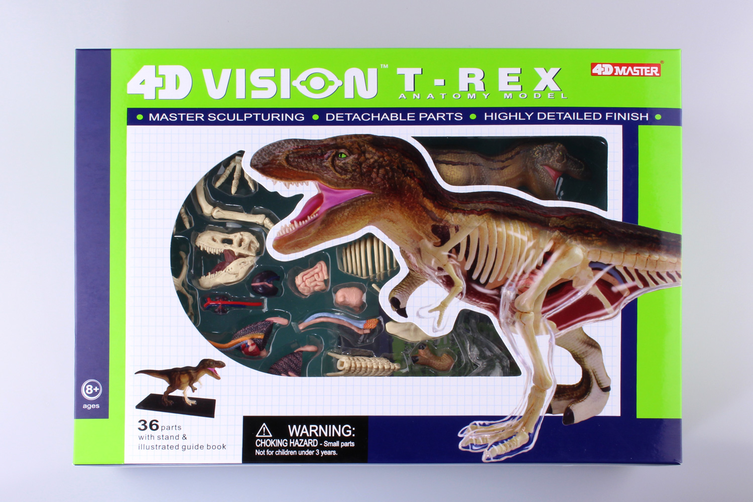 4D VISION 動物解剖モデル T-REX解剖モデル｜株式会社 青島文化教材社