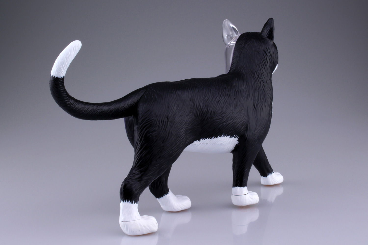 4D VISION 動物解剖モデル 猫解剖モデル 黒/白｜株式会社 青島文化教材社