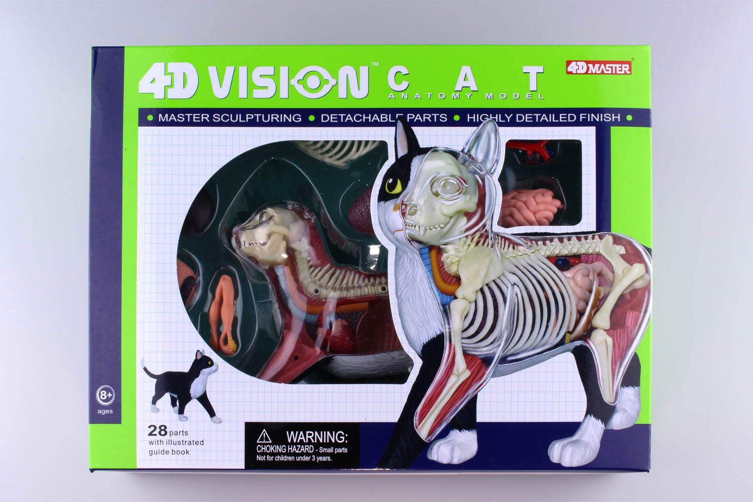 4D VISION 動物解剖モデル 猫解剖モデル 黒/白｜株式会社 青島文化教材社